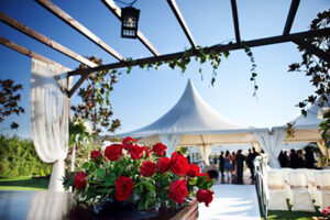 beautiful ceremony venue with flowers and blue sky