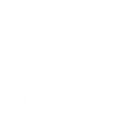 Gemma2
